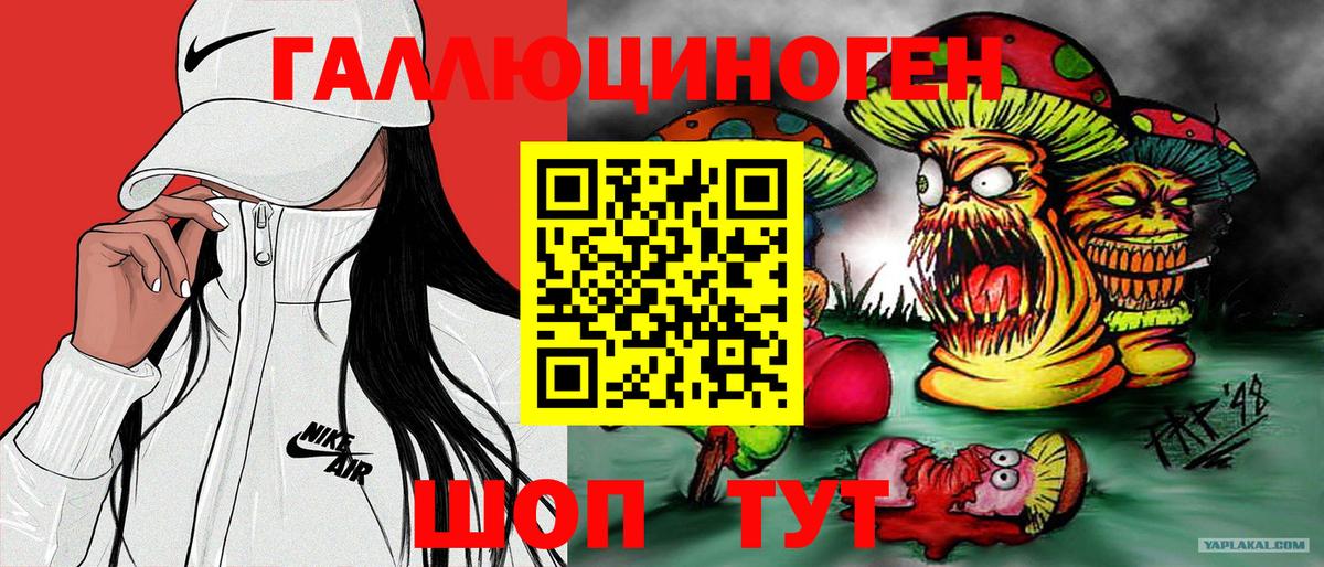 Галлюциногенные грибы мухоморы  Вход с VPN  Галлюциногенные грибы Psilocybine cubensis  Выборг 